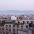 100 0229