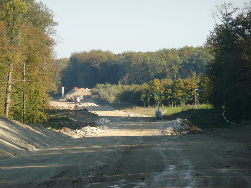 P1060197