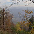 DSC01981