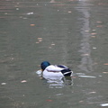 DSC02002