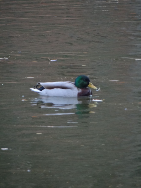 DSC02004.JPG