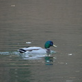DSC02005