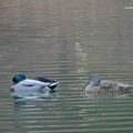 DSC02008