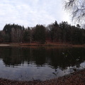 DSC02009