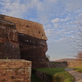 DSC02039