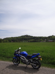 DSC02459