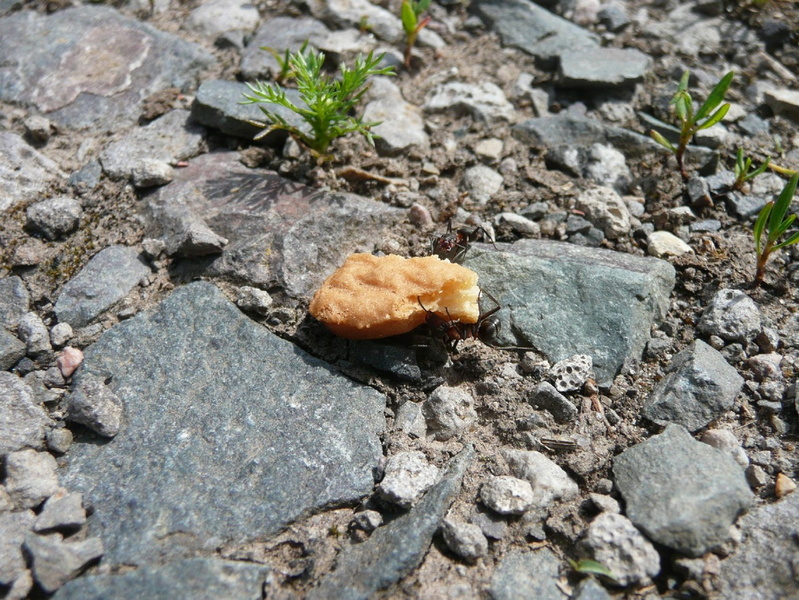 P1060735