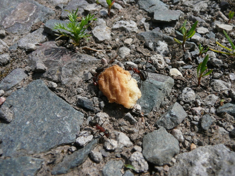 P1060736