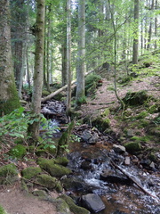 DSC03160