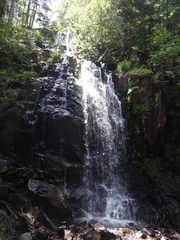 DSC03161