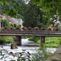 DSC03252