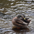 DSC03255