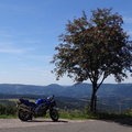 DSC03937