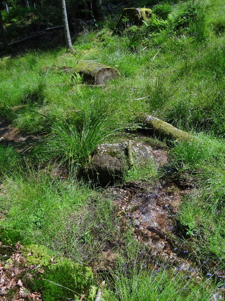 DSC05205.JPG