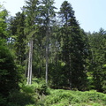 DSC05207