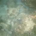 photo sous marine 0027