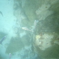 photo sous marine 0028