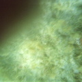 photo sous marine 0030
