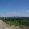 DSC02513