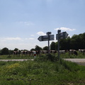 DSC02514