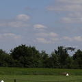 DSC03095