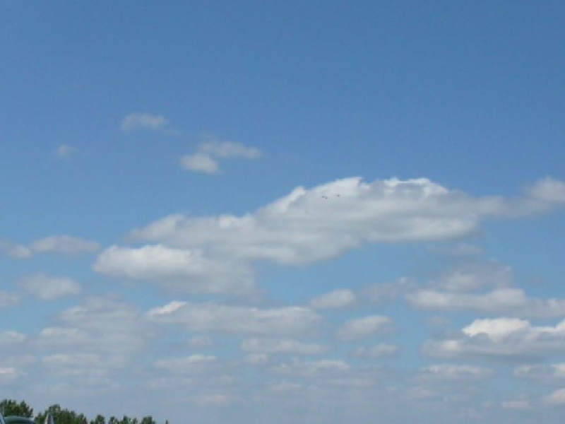 P1010151