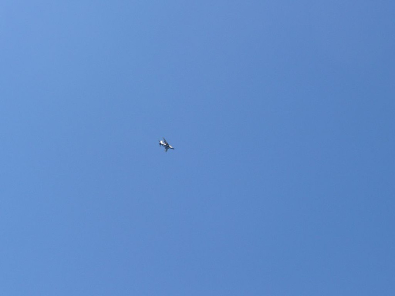 P1010157