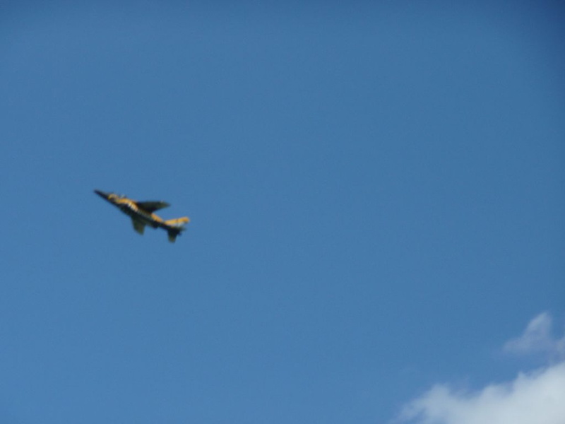 P1010158