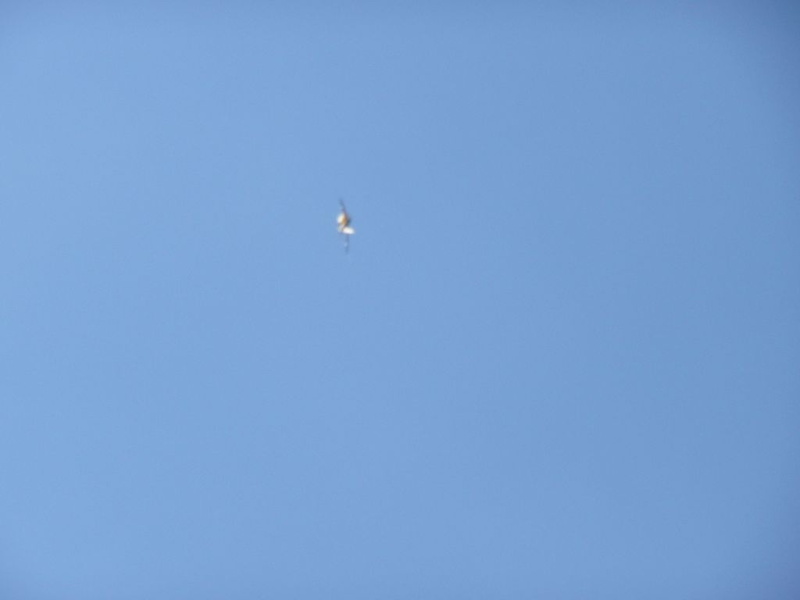 P1010159