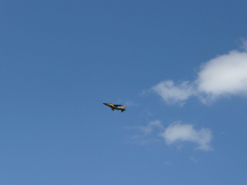 P1010164
